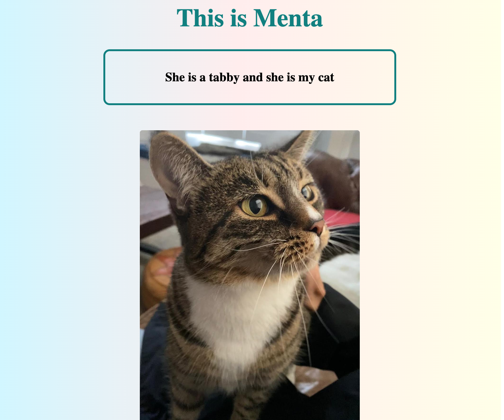 cat adoption webpage image